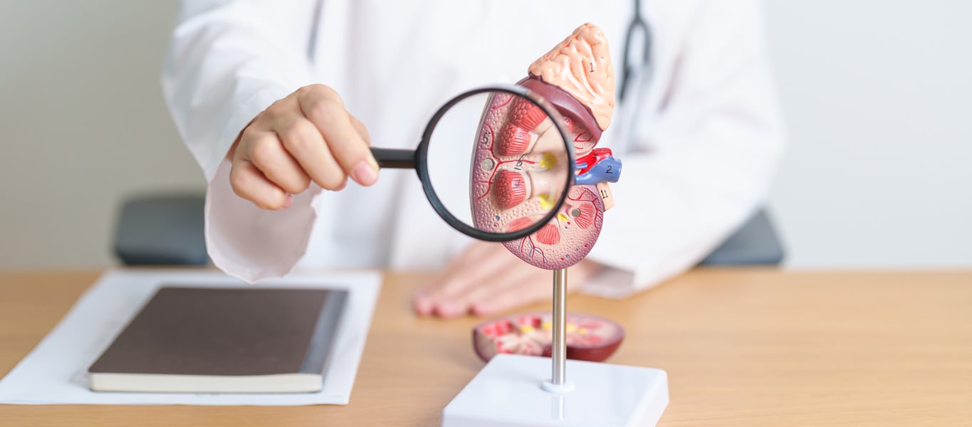 BRCC-Site-Sub-00-Kidney-Cancer